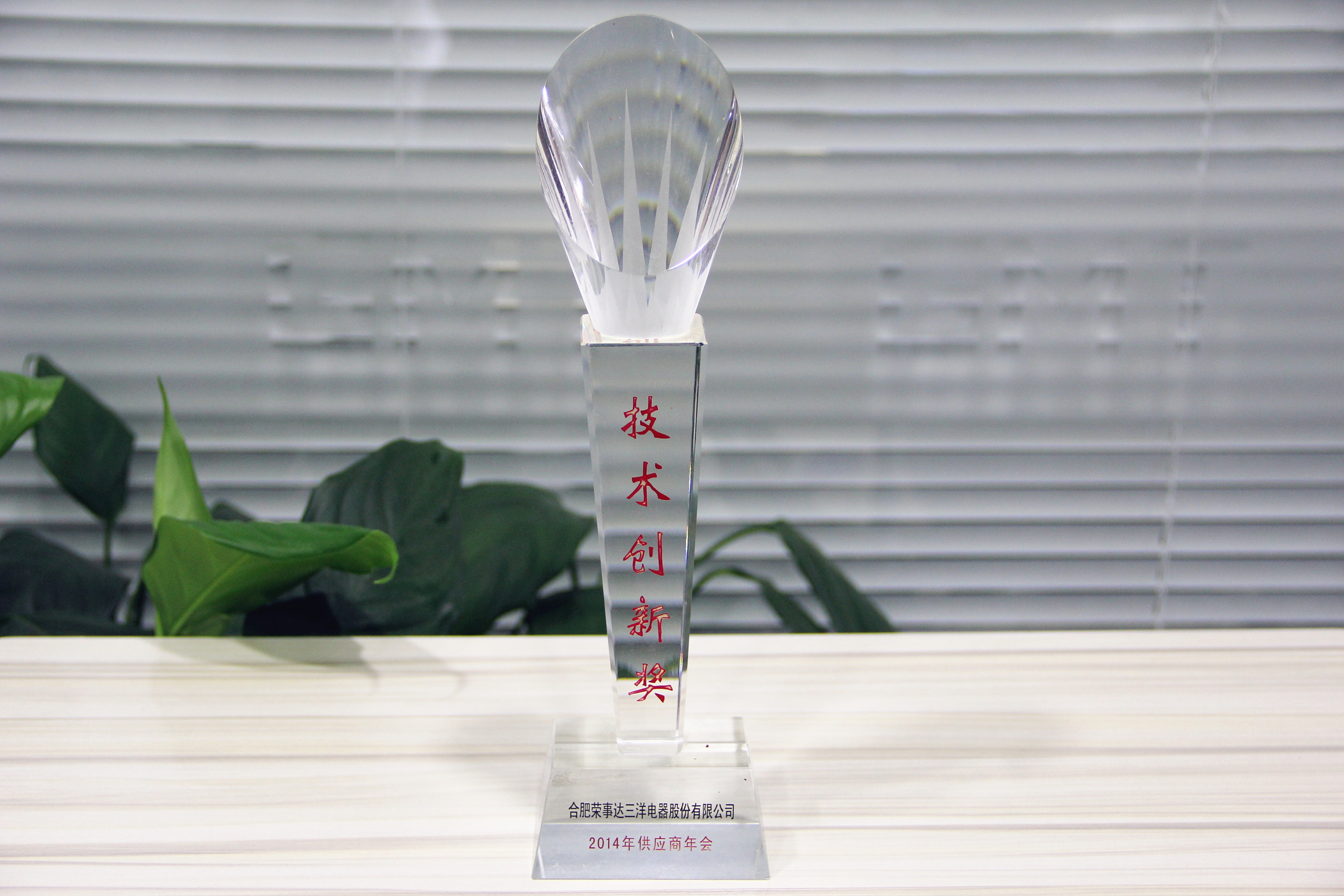 荣誉证书 6